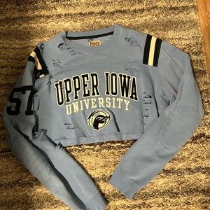 Vintage cropped upper Iowa sweatshirt